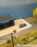 (TT) Renault Scenic, Pech (+Figuur)