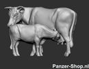 spur 2x Satz Pinzgauer Kühe Modell