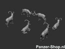 spur (H0) Steinbocke Modell