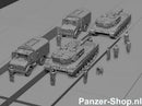 spur (N) Bundeswehr Satze 7 | Bahnverladung Einweiser Modell