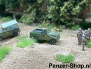 spur (N) IFA P3 Modell