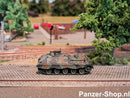 spur (N) Jaguar 1 Raketenjagdpanzer Modell