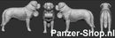spur (TT) Bernhardiner-Hunde Modell