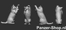 spur (TT) Katzen Modell