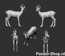 spur (TT) Rehe Modell