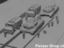 spur (Z) Bundeswehr Satze 7 | Bahnverladung Einweiser Modell